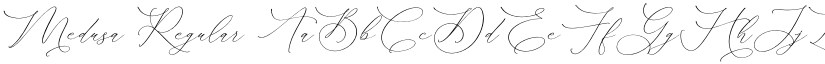 Medusa Regular font