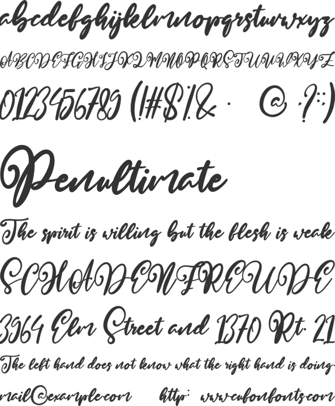 Aletta Martta font preview