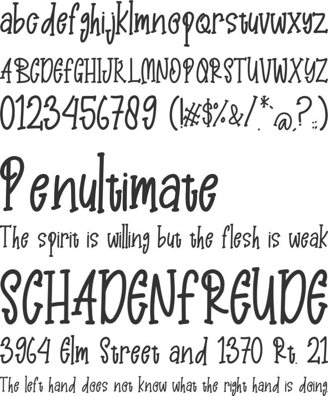 Winner Rhino font preview