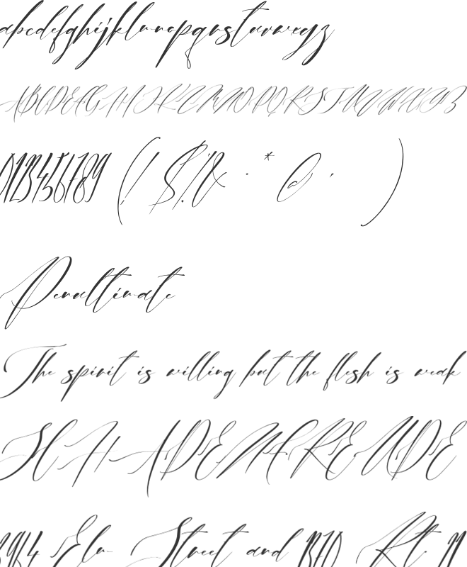 Alusinta Brenob font preview