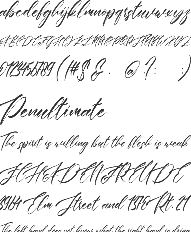 Antartika font preview
