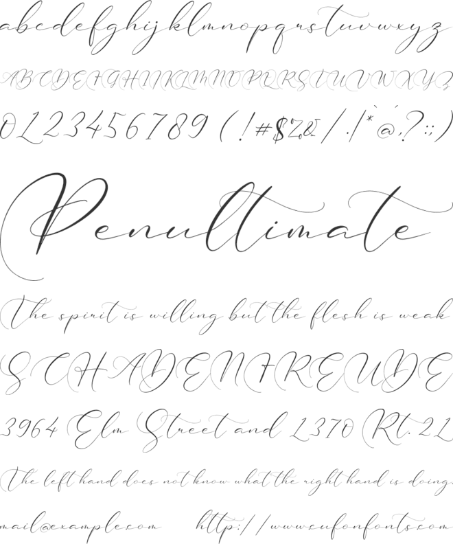 Brittney Style font preview