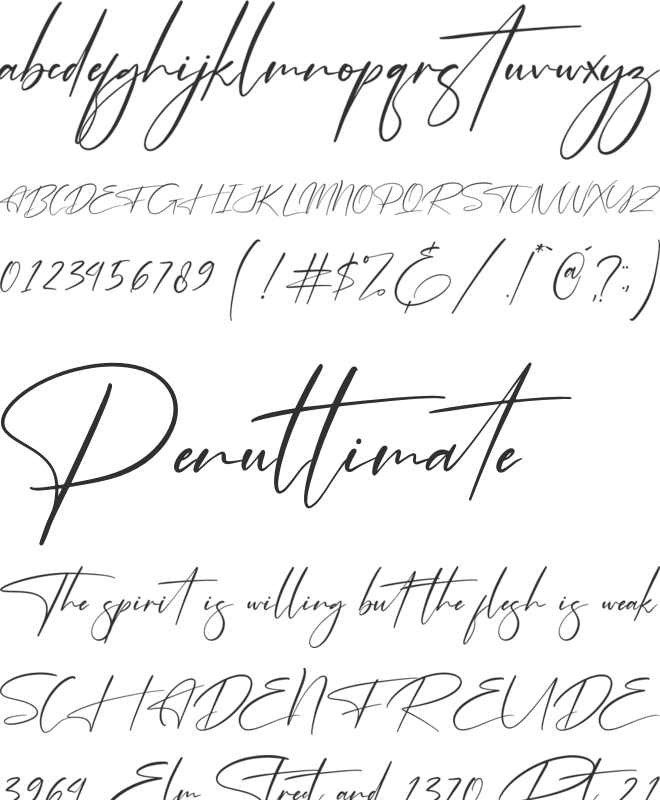 Freyatina Pelgona font preview