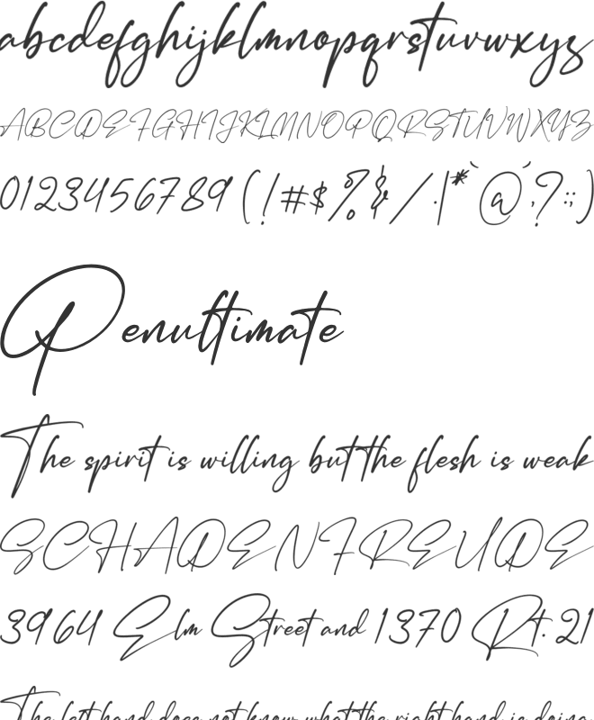 Renattha Signate font preview