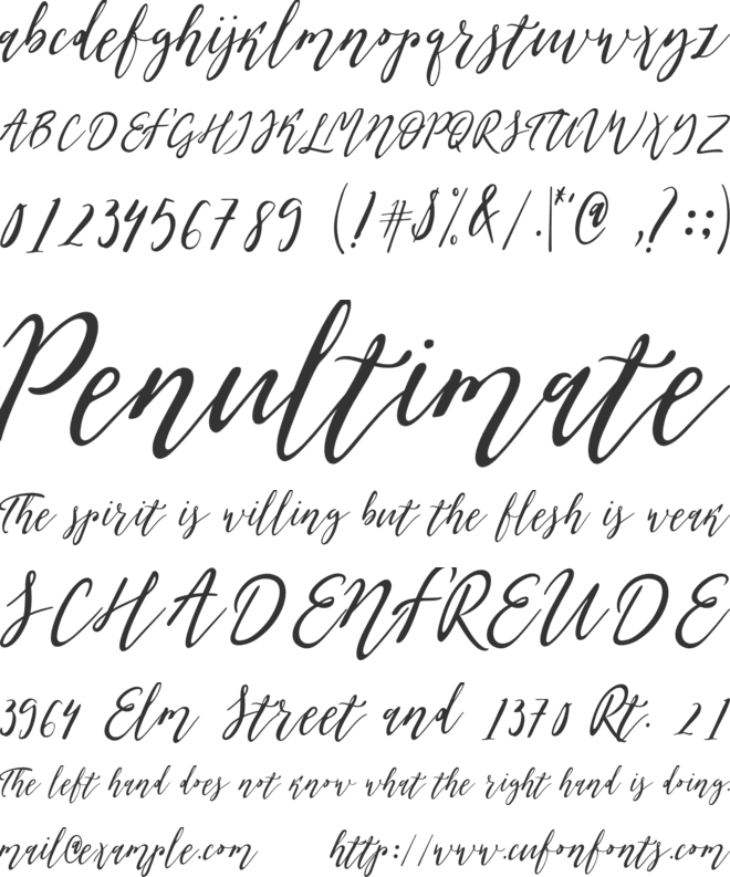 Olis font preview