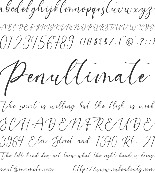 Burniston font preview