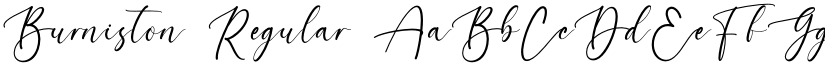 Burniston Regular font