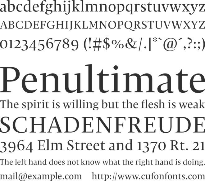 Christel Display font preview