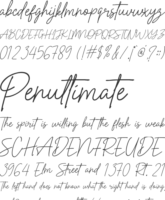 Perfect Beloved font preview