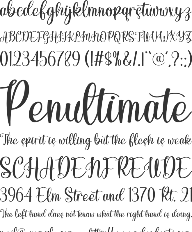 Summer Belynda font preview