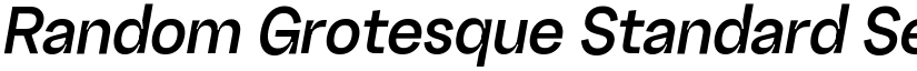 Random Grotesque Standard Semibold StandardSemiboldItalic font