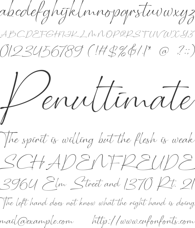 Bottuckey free version font preview