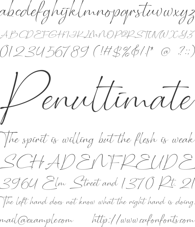 Bottuckey free version font preview