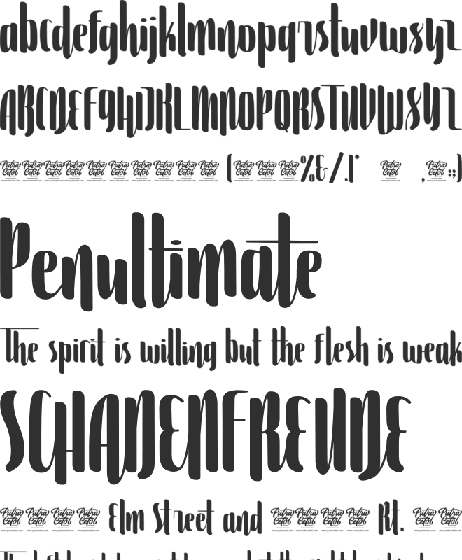 Violinist font preview