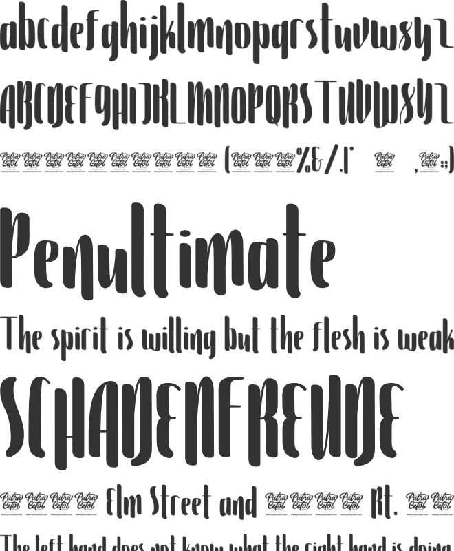 Violinist font preview