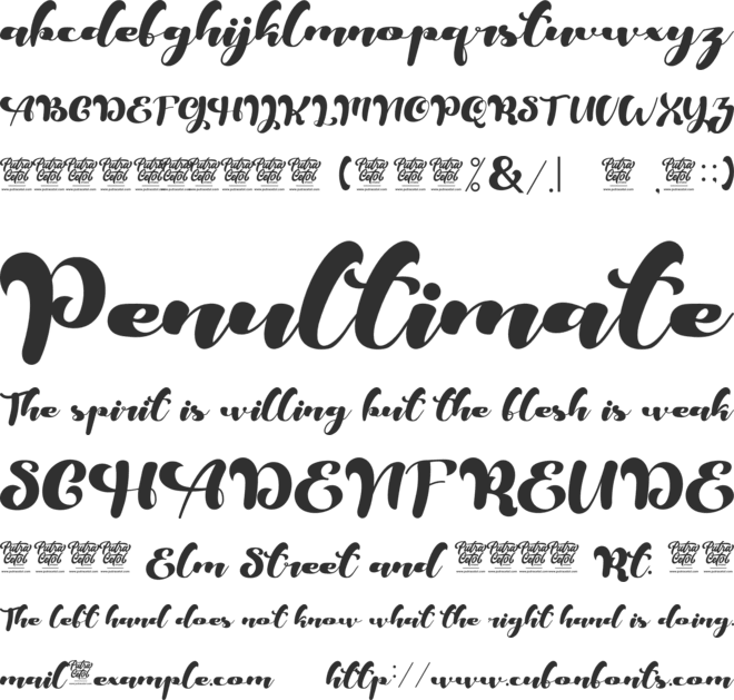 Mellania Script font preview