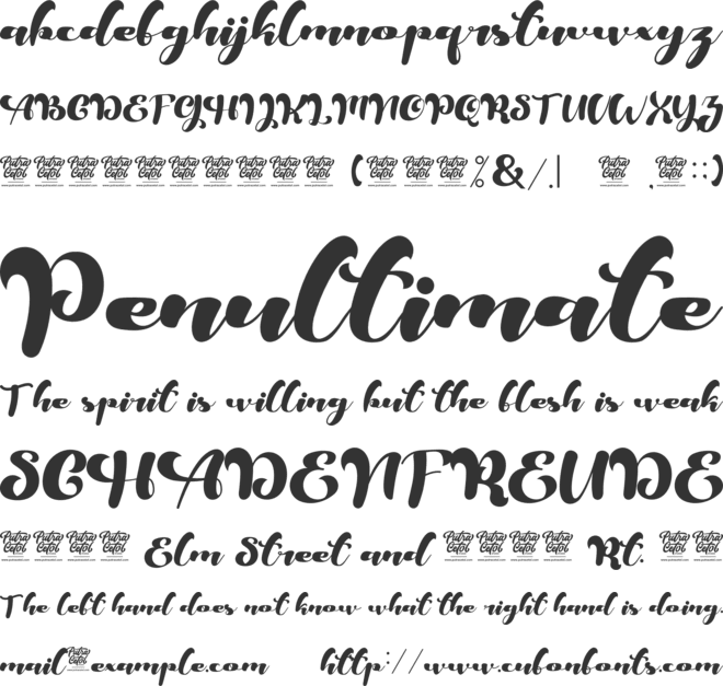 Mellania Script font preview