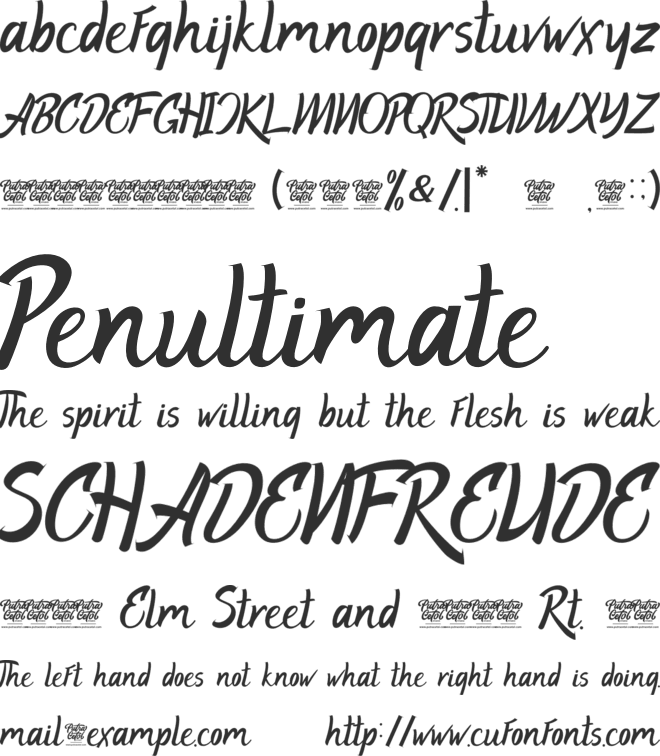 Holian font preview