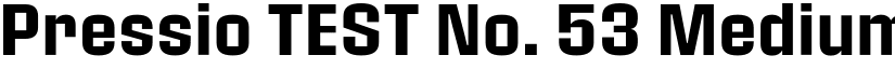 Pressio TEST No. 53 Medium font