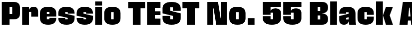 Pressio TEST No. 55 Black font