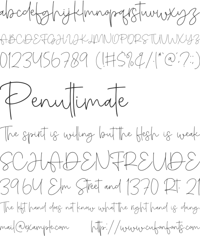 Amichan font preview