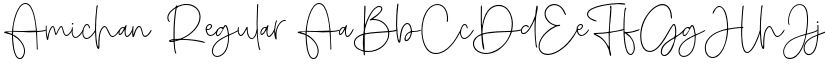 Amichan Regular font