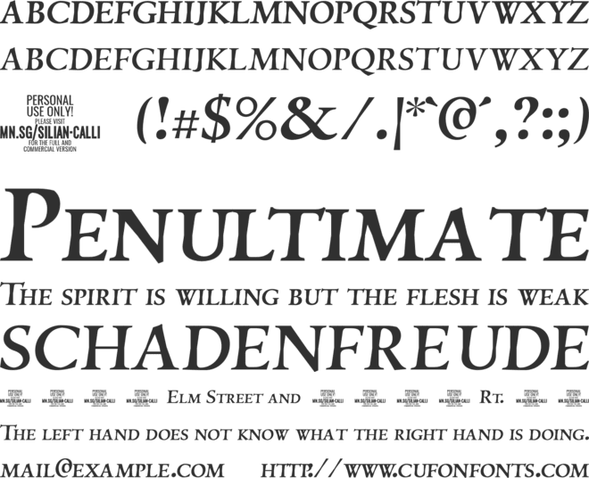 Silian Calligraphy  PERSONAL font preview