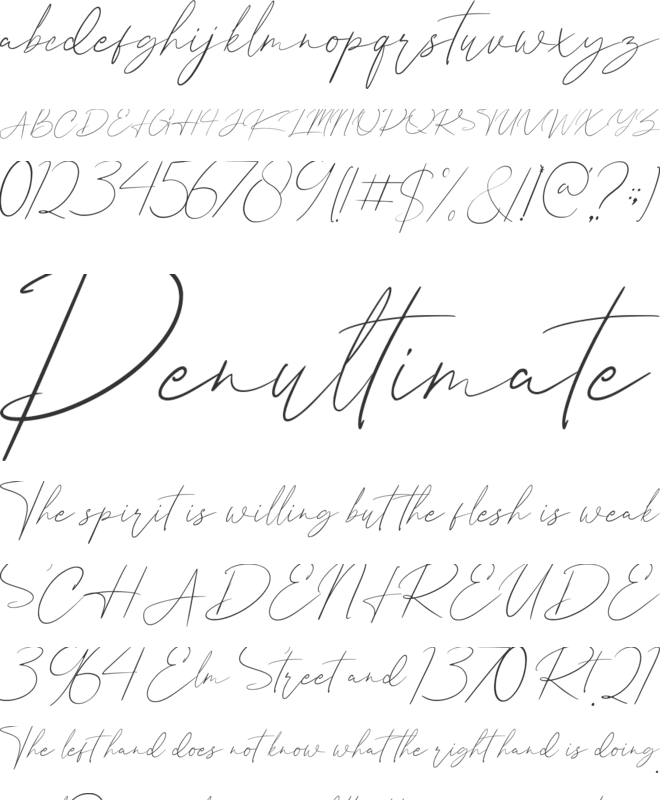 Whitebeard font preview