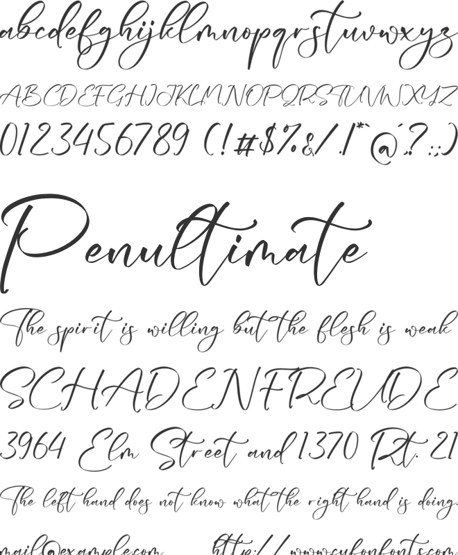 Qorytona font preview