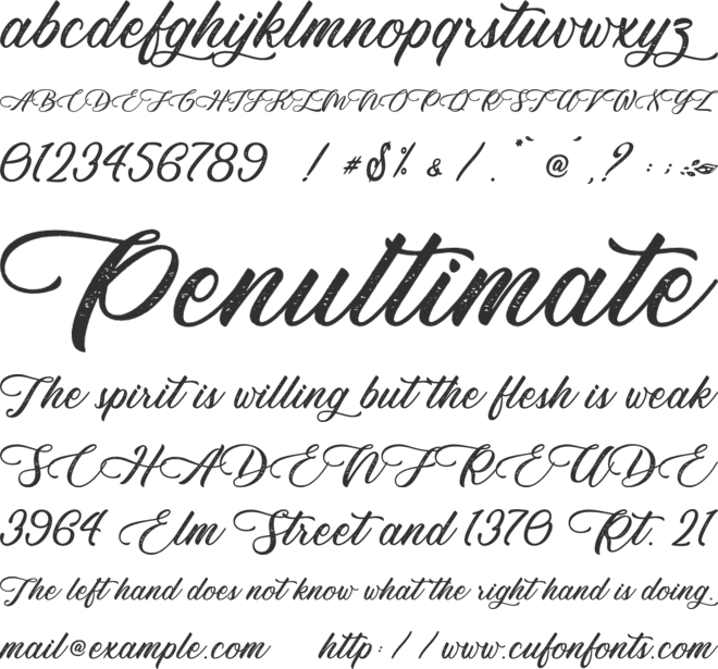 Monterey Bird - Personal Use font preview