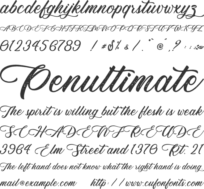 Monterey Bird - Personal Use font preview