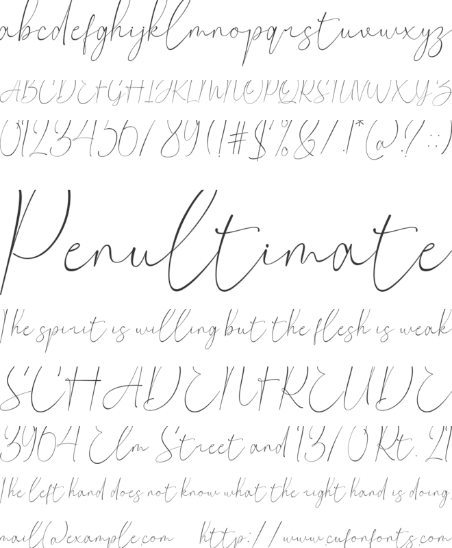 Claster Oleander Signature font preview