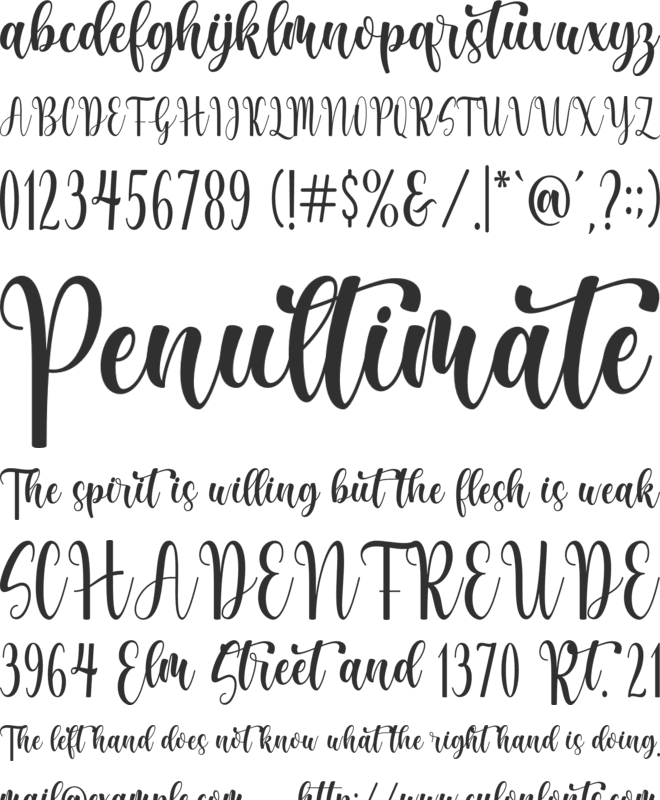 Automatic font preview