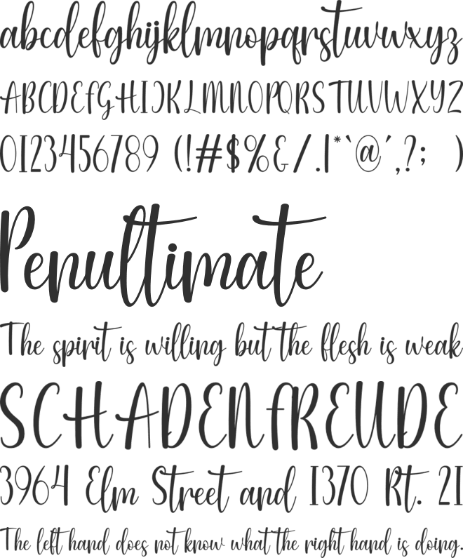 Vela Selinda font preview