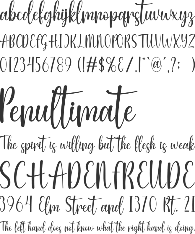 Vela Selinda font preview