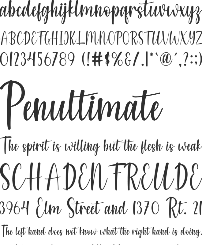 Kayladelifa font preview