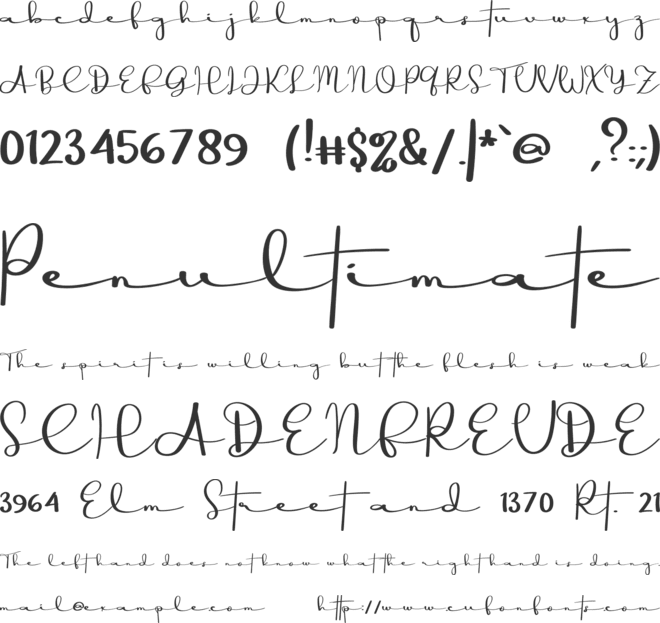 Kingdom font preview