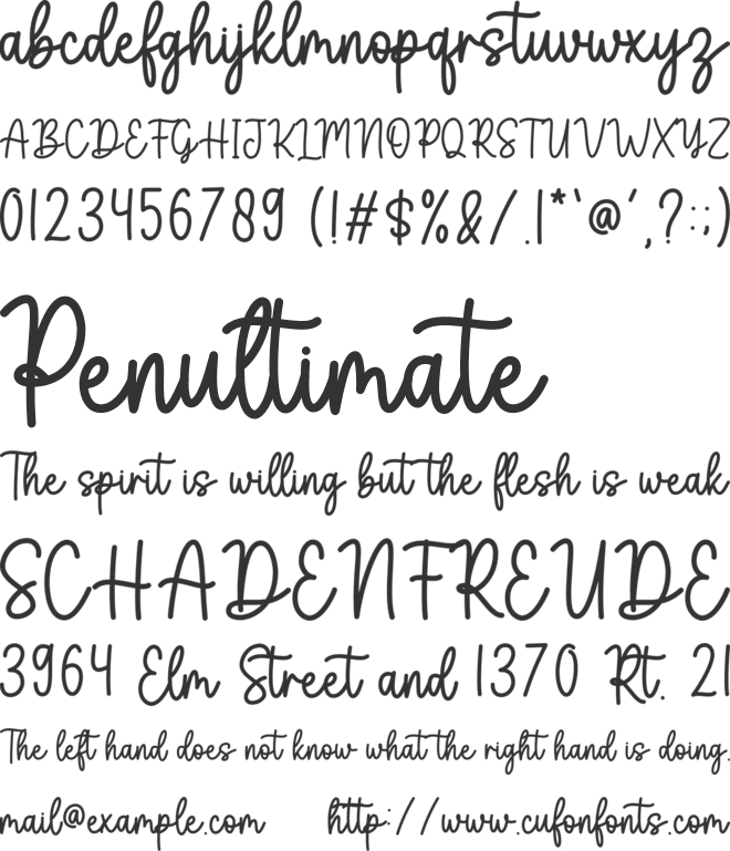 Birgitta font preview