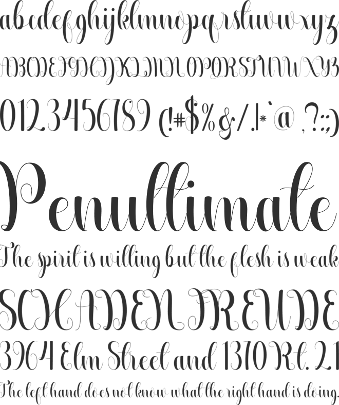 Beautiful Calligraphy Free font preview