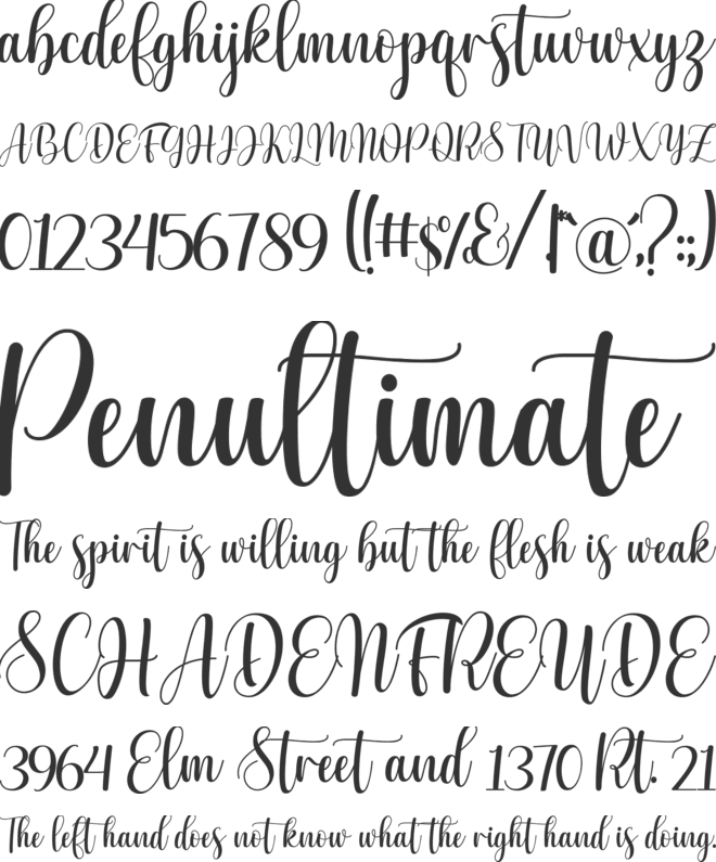 Julio Santa font preview