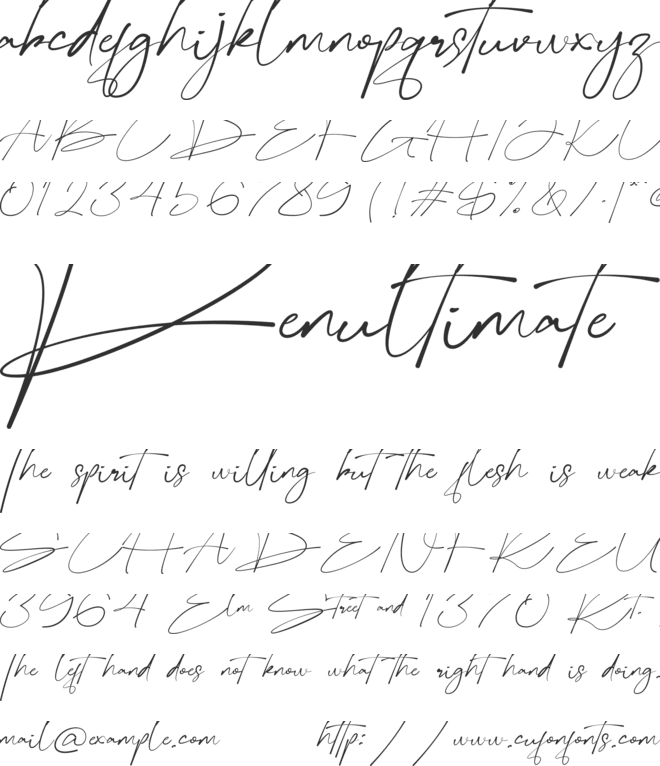 Bellogia Signature font preview