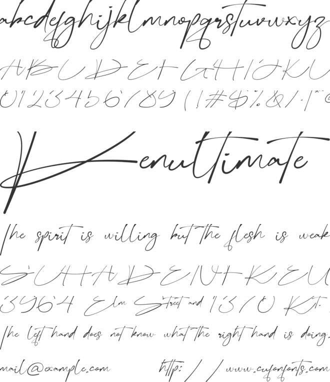 Bellogia Signature font preview