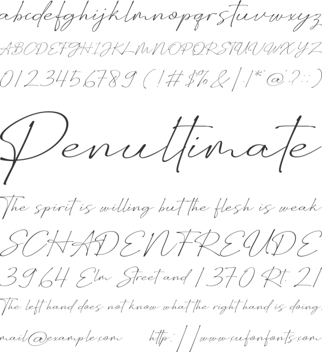 Wellyon font preview