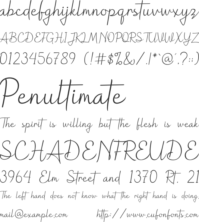 hollograph font preview