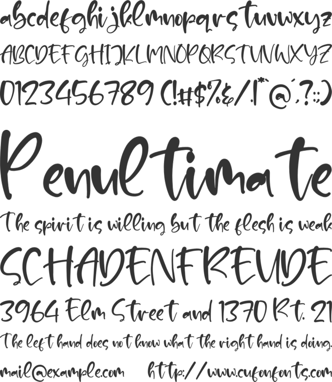 Maldonado font preview