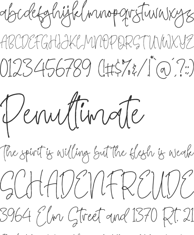 Swash Zillong font preview