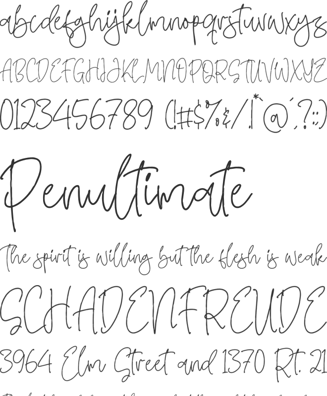 Swash Zillong font preview