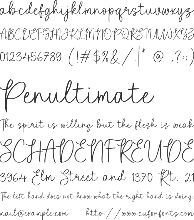 Brightwoods font preview