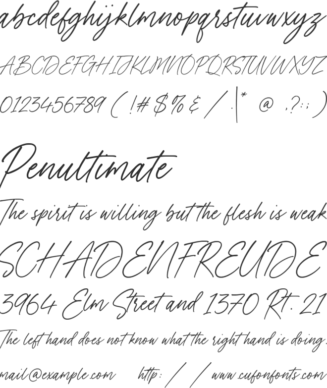 Mountshield font preview