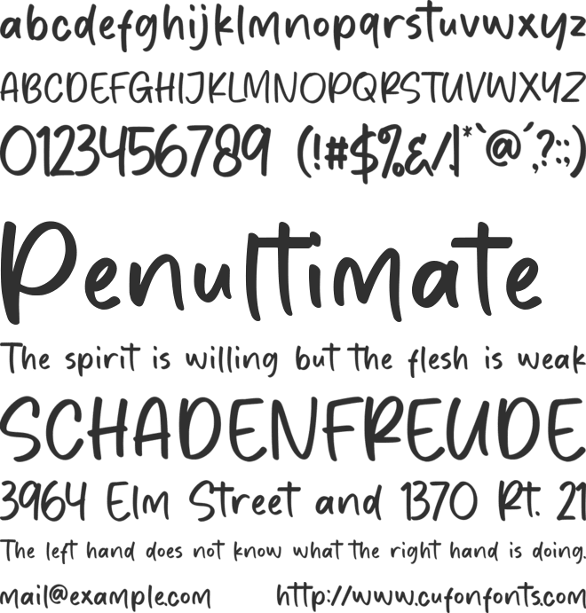 Wildnote font preview